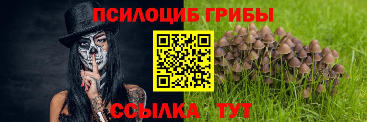Псилоцибиновые грибы GOLDEN TEACHER  Вход с VPN  Канаш 